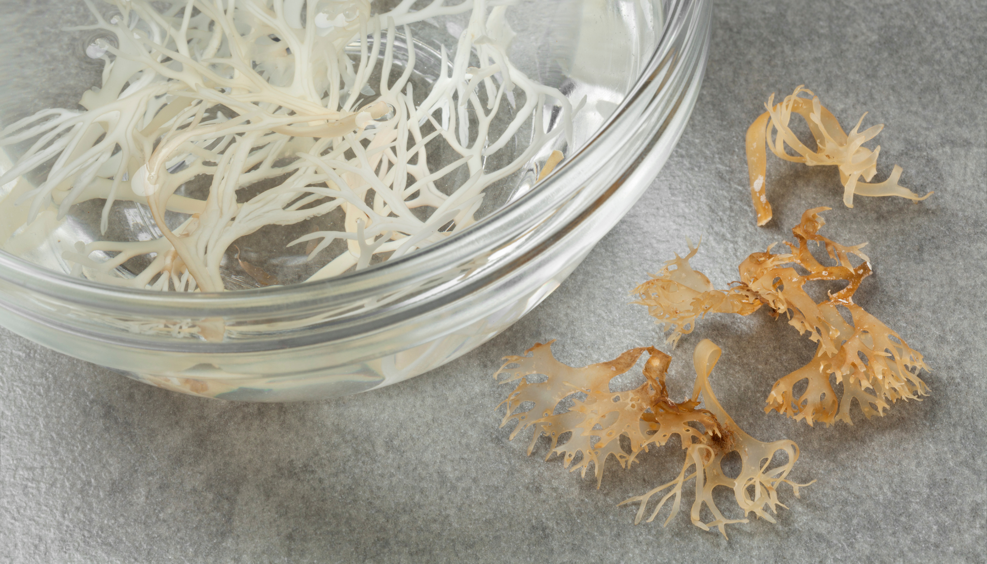 Unveiling the Wonders of Irish Sea Moss Supplementation