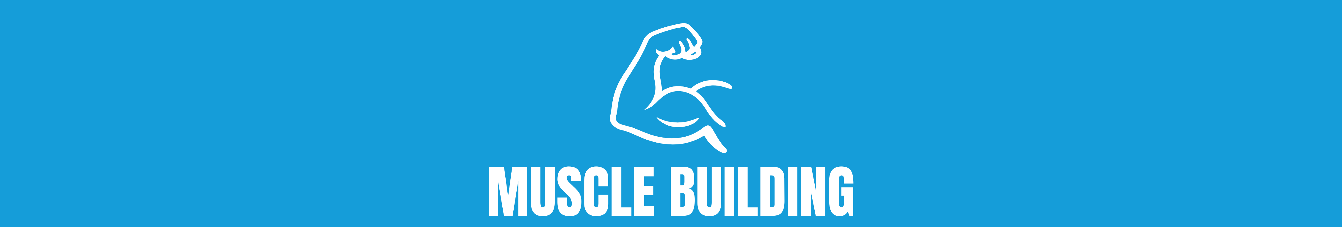 Muscle Building