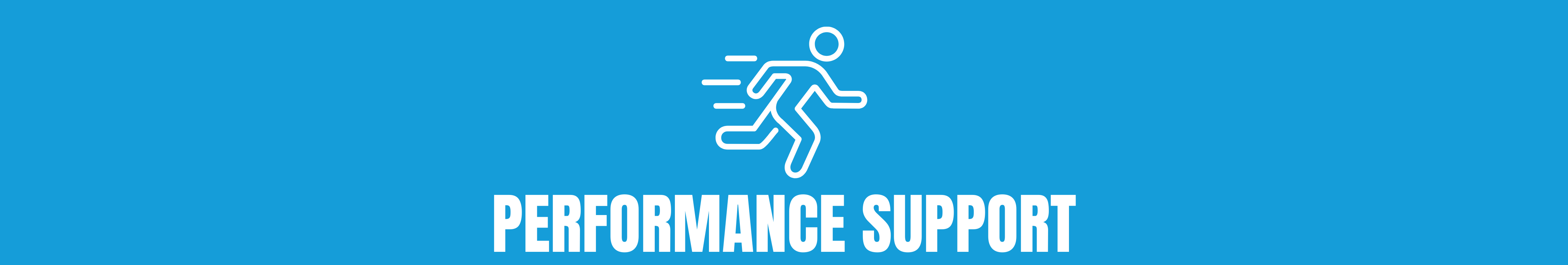 Performance Support