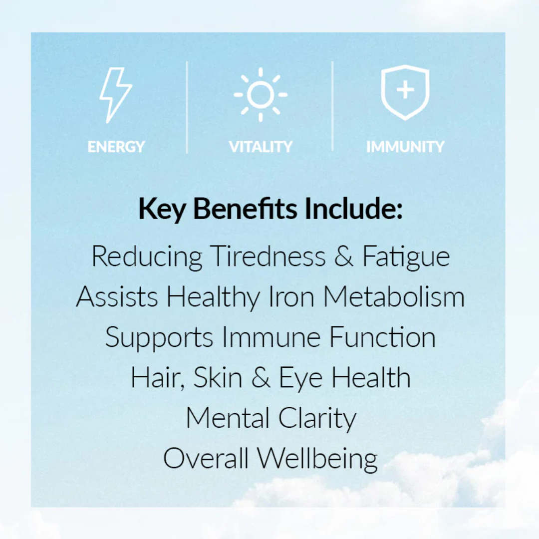 Ancestral Nutrition Primal Multi