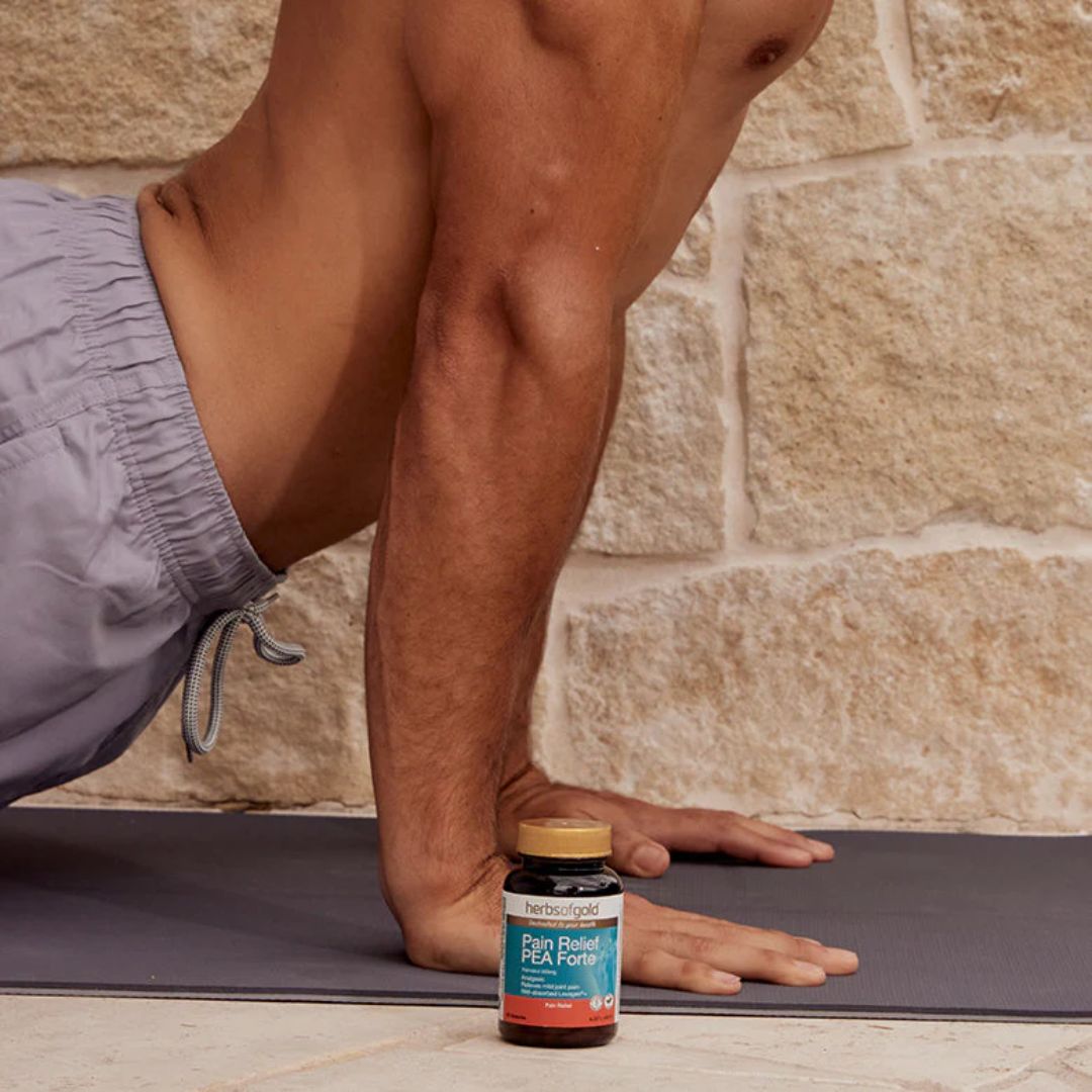 Herbs Of Gold Pain Relief PEA Forte