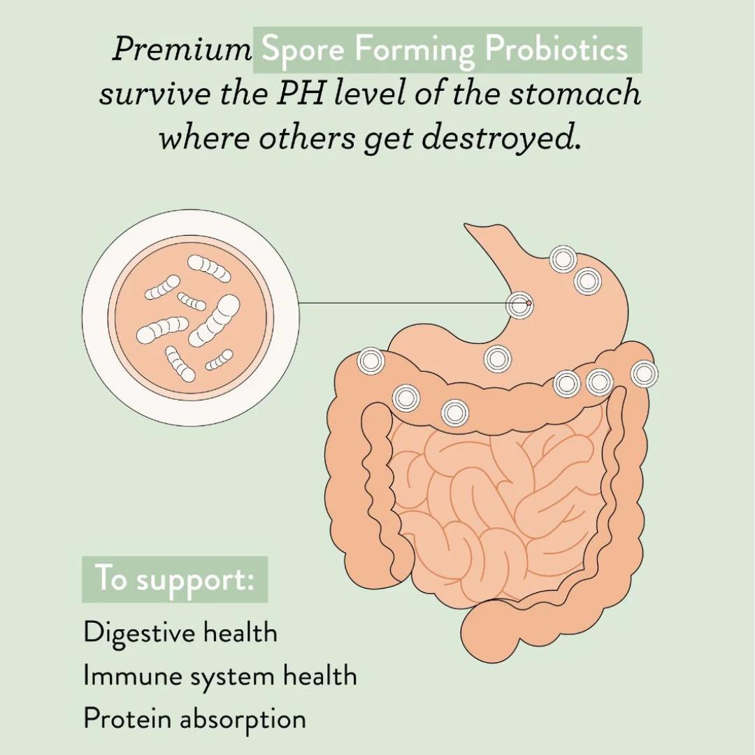 Nutra Organics Supergreens + Reds Powder - Nutrition Capital