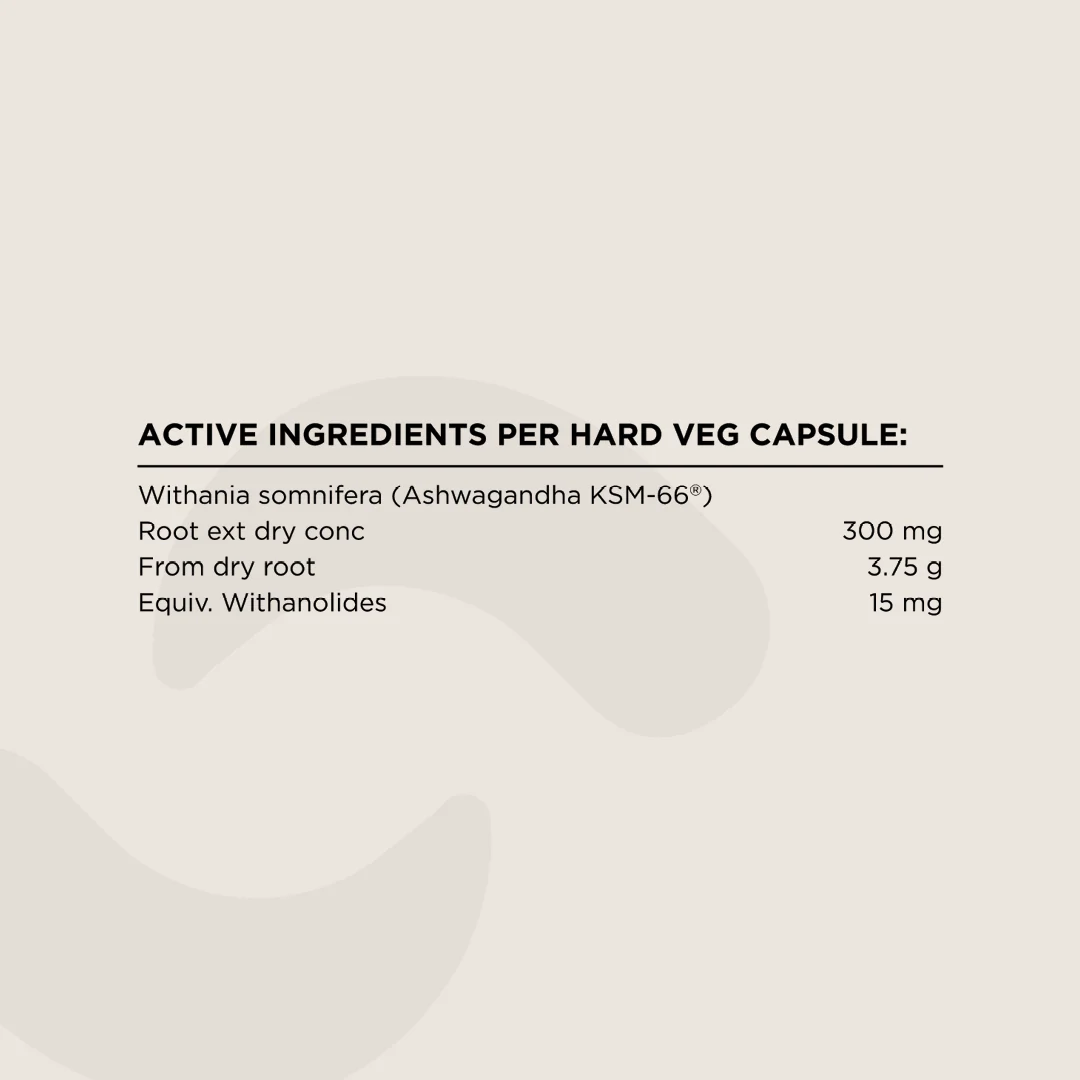 Switch Nutrition Ashwagandha (KSM-66) - Nutrition Capital