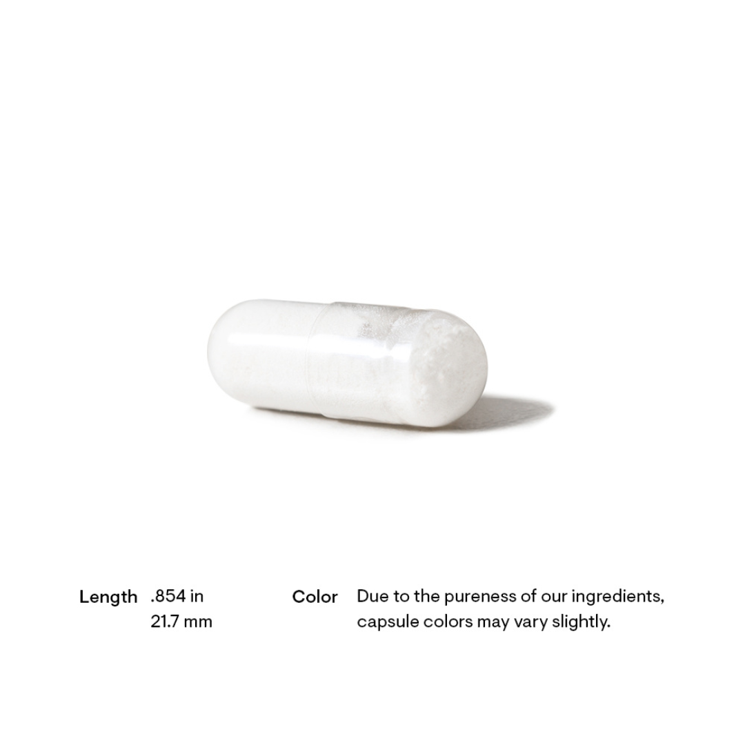 Thorne Bacillus Coagulans - Nutrition Capital