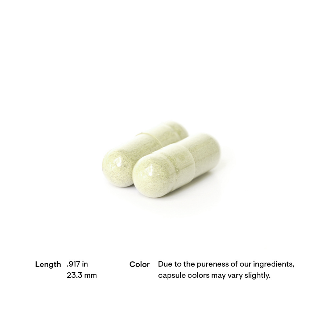 Thorne Boswellia Phytosome - Nutrition Capital