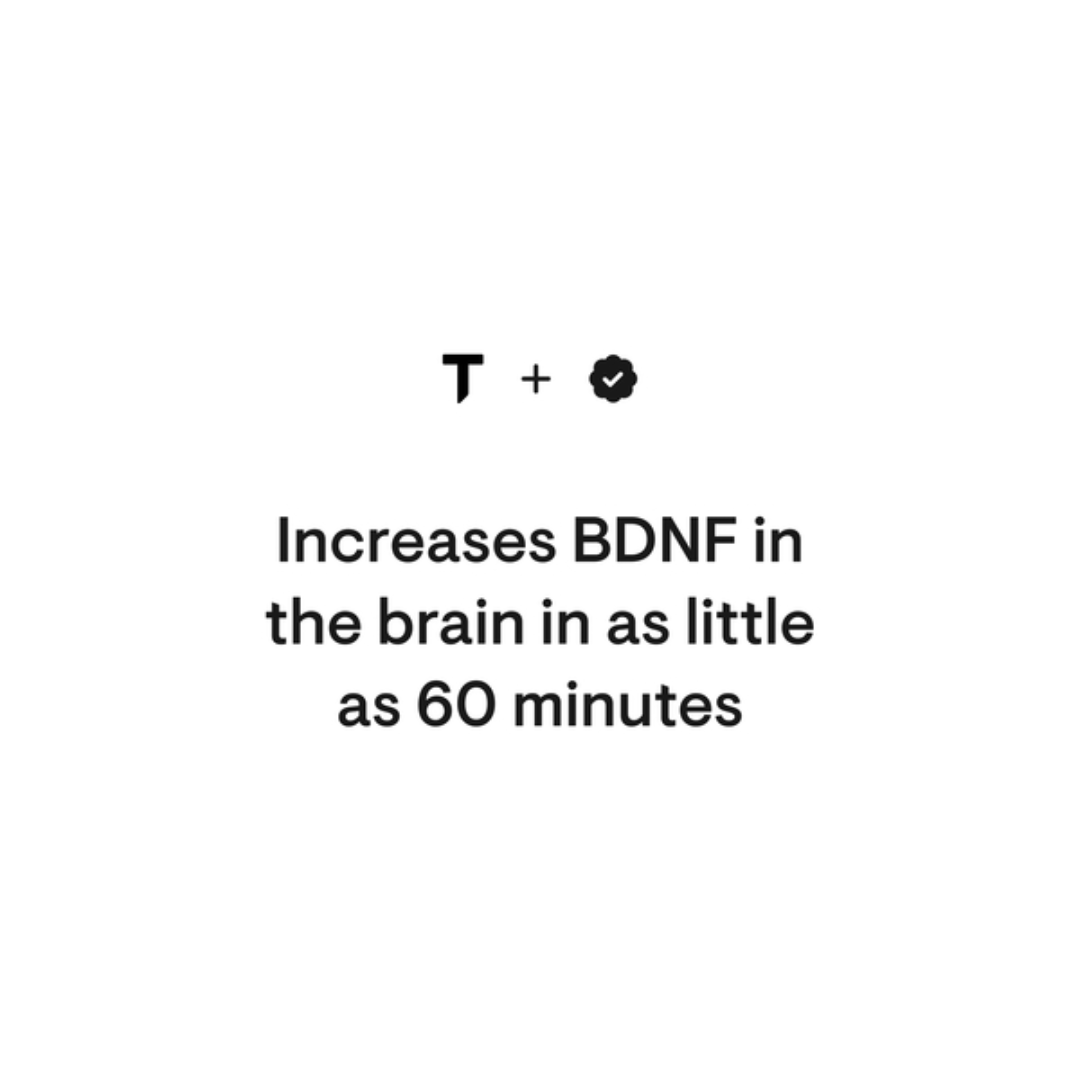 Thorne Brain Factors