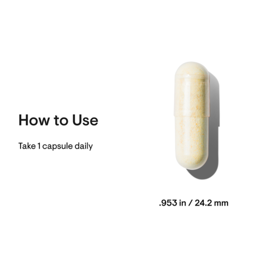 Thorne Brain Factors