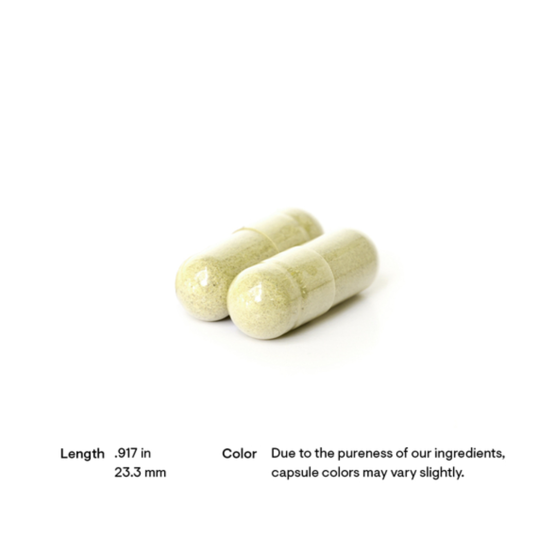 Thorne Broccoli Seed Extract