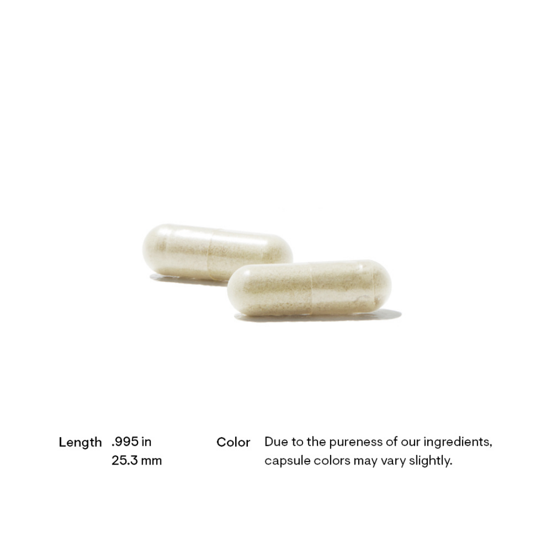 Thorne L-Arginine Plus - Nutrition Capital