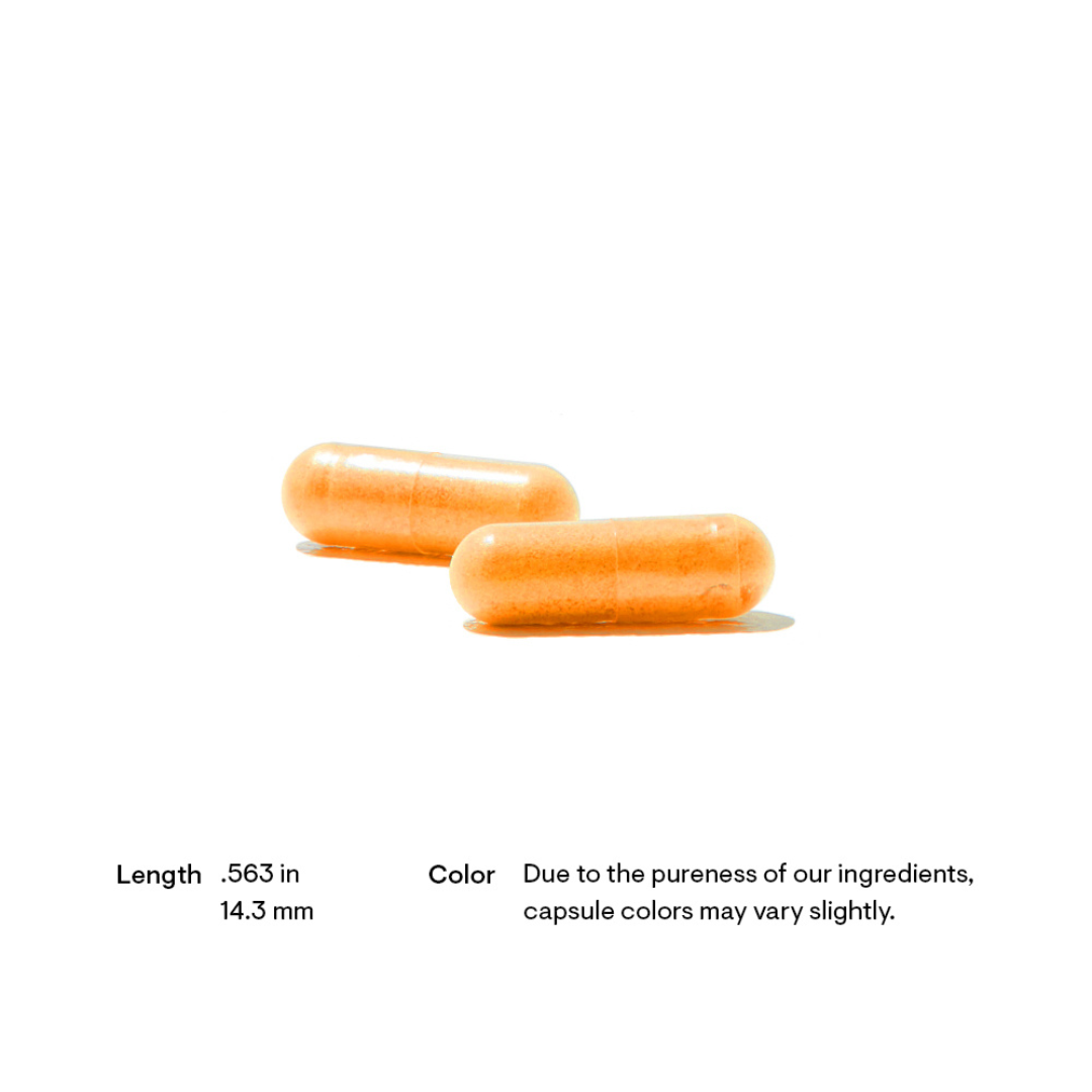 Thorne Riboflavin 5'-Phosphate - Nutrition Capital